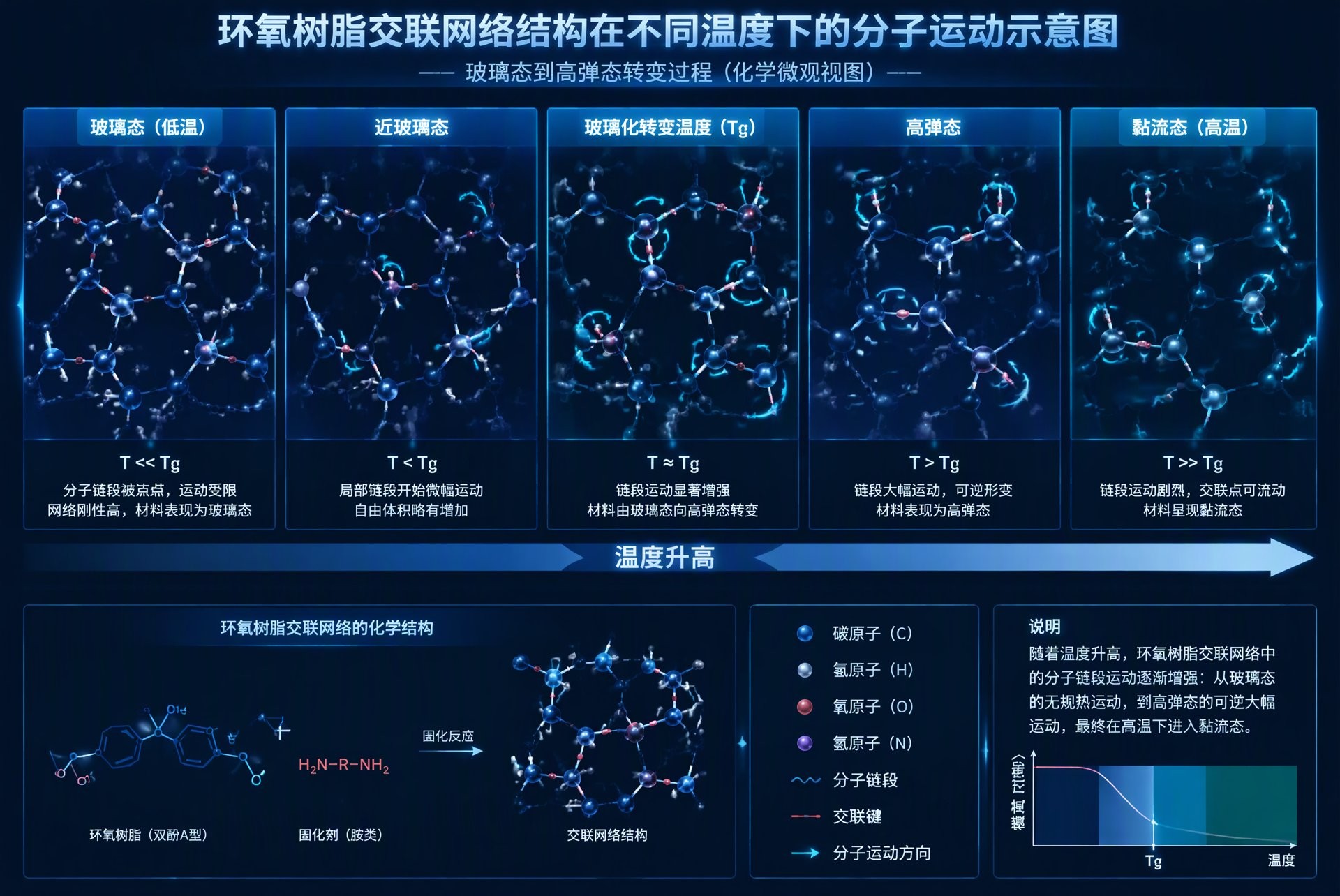 玻璃化转变分子运动示意 环氧交联网络Tg转变